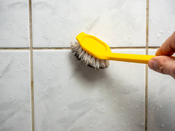 Best Mold Remediation  in Robinwood, MD