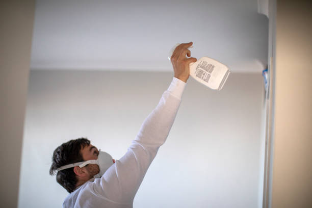Best Mold Remediation Services  in Robinwood, MD