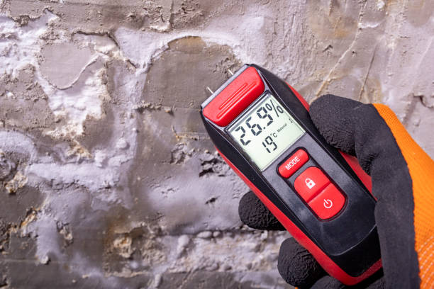 Best Mold Remediation  in Robinwood, MD