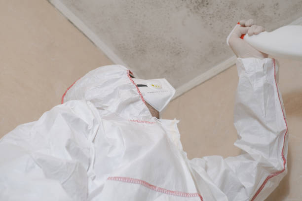 Best Professional Mold Removal  in Robinwood, MD