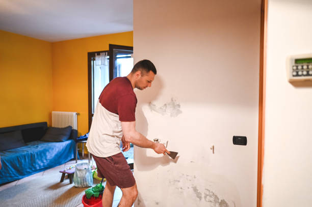 Home Mold Removal in Robinwood, MD